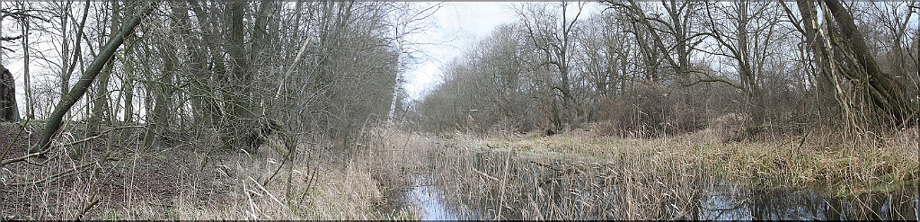 2014_02_22-1-Ihlekanal-Hueseckenbruecke.JPG