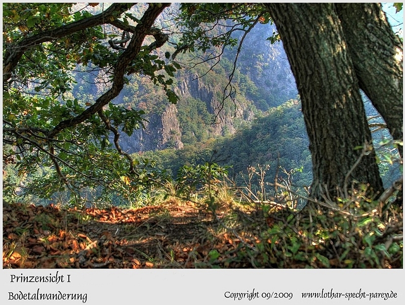 Harz-Bodetal-025-September_2009.jpg