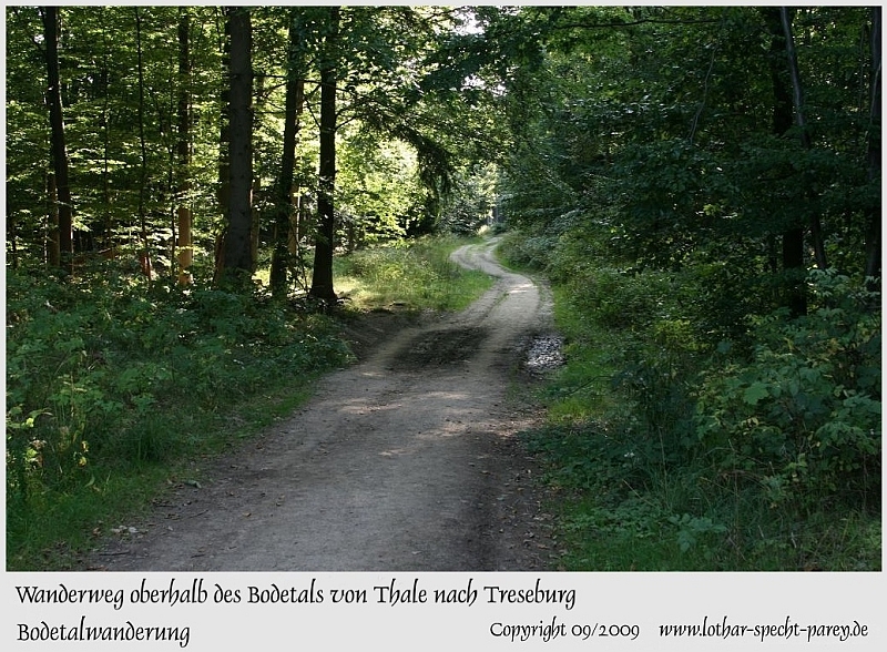 Harz-Bodetal-028-September_2009.jpg