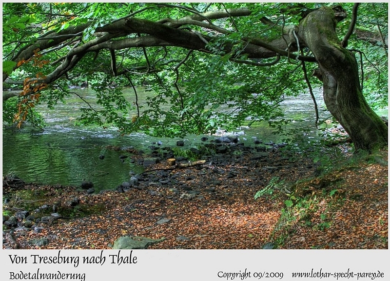 Harz-Bodetal-043-September_2009.jpg