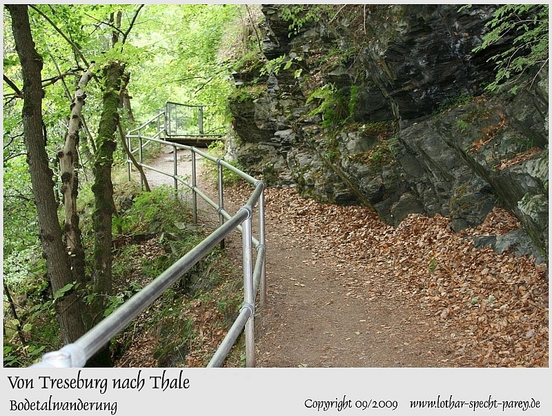 Harz-Bodetal-044-September_2009.jpg