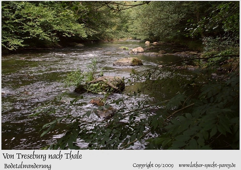 Harz-Bodetal-050-September_2009.jpg