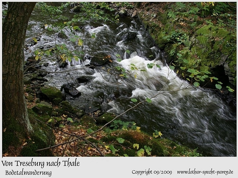 Harz-Bodetal-052-September_2009.jpg