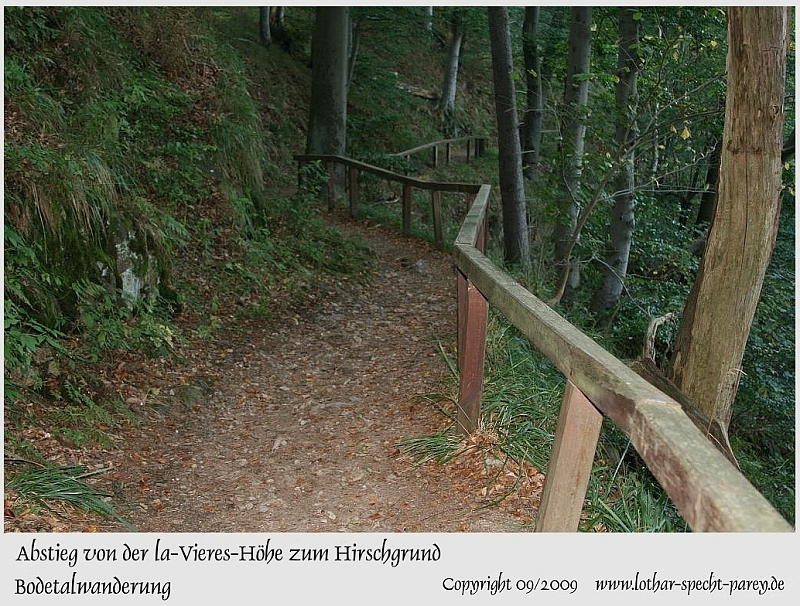 Harz-Bodetal-090-September_2009.jpg