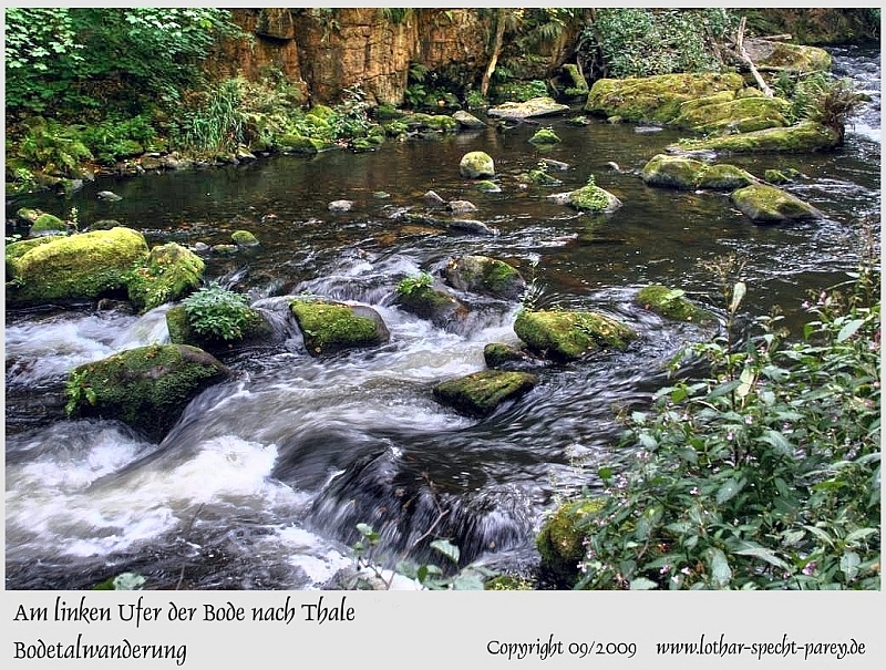 Harz-Bodetal-099-September_2009.jpg