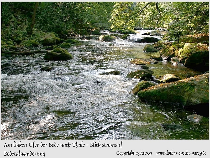 Harz-Bodetal-101-September_2009.jpg
