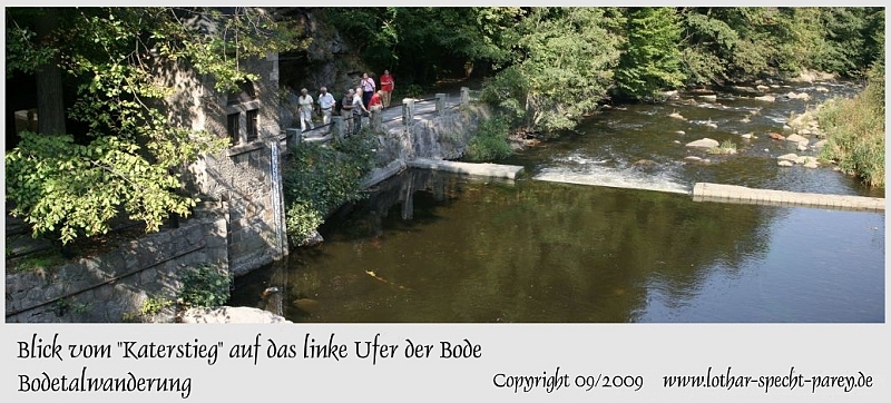 Harz-Bodetal-105-September_2009.jpg