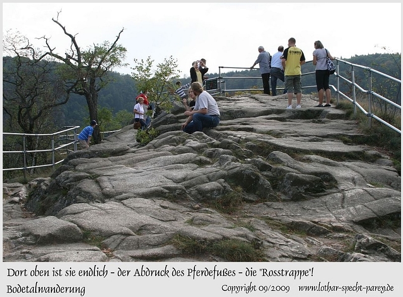 Harz-Bodetal-118-September_2009.jpg