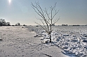 2012_02_06-Parey-Elbe-Eisformen_nach_Winterhochwasser-014
