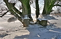 2012_02_08-Parey-Elbe-Eisformen_nach_Winterhochwasser--018