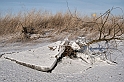 2012_02_08-Parey-Elbe-Eisformen_nach_Winterhochwasser--022
