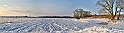 2012_02_08-Parey-Elbe-Eisformen_nach_Winterhochwasser--029