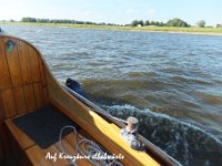 Segeln auf der Elbe-2017 07-003