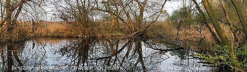 02000-Bergzow-Feuchtgebiet-2011_04_17.jpg