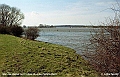 Elbaue-Parey-Hochwasser-Wiese01