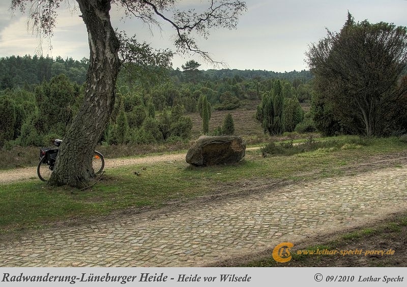 023-Lueneburger_Heide-2010_09_11.jpg