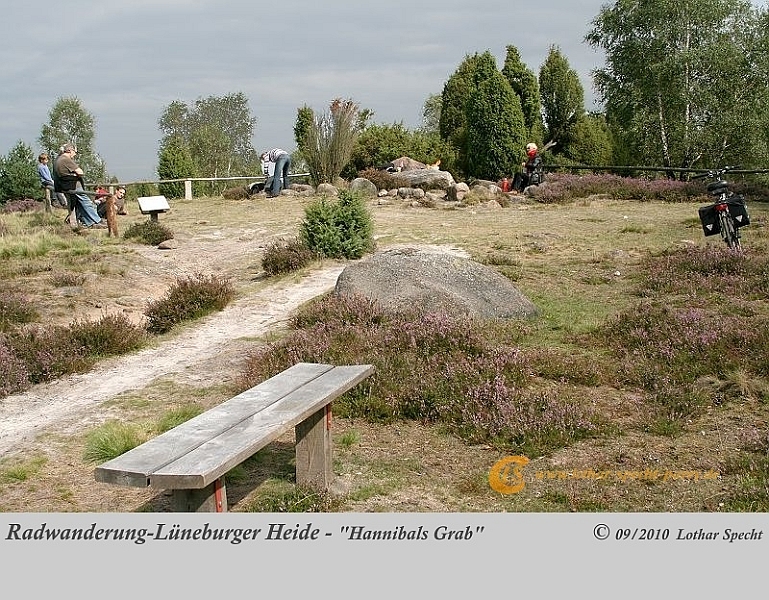 035-Lueneburger_Heide-2010_09_11.jpg
