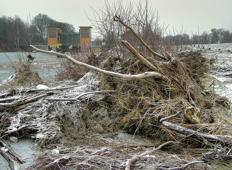 2011_01_31-005-Parey-An_der_Elbe-Winter-Hochwasser.jpg