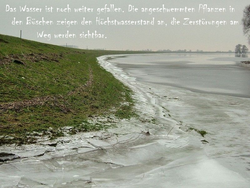 2011_02_02-001-Parey-An_der_Elbe-Winter-Hochwasser.jpg
