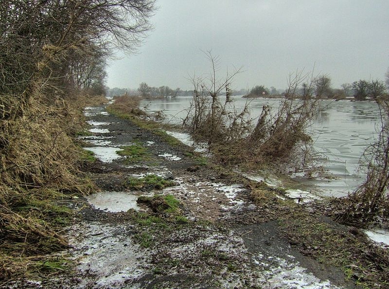 2011_02_02-005-Parey-An_der_Elbe-Winter-Hochwasser.jpg