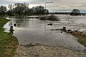 2011_01_18-006-Parey-An_der_Elbe-Winter-Hochwasser