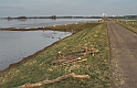 2011_01_22-013-Parey-Elbe-Hochwasser-Deichwache