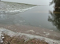 2011_01_31-003-Parey-An_der_Elbe-Winter-Hochwasser