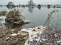 2011_01_31-004-Parey-An_der_Elbe-Winter-Hochwasser