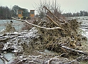2011_01_31-005-Parey-An_der_Elbe-Winter-Hochwasser