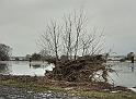 2011_02_02-002-Parey-An_der_Elbe-Winter-Hochwasser