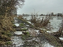 2011_02_02-005-Parey-An_der_Elbe-Winter-Hochwasser