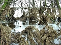 2011_02_02-007-Parey-An_der_Elbe-Winter-Hochwasser