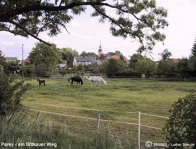Parey - Am Bittkauer Weg - Wiese mit Pferden